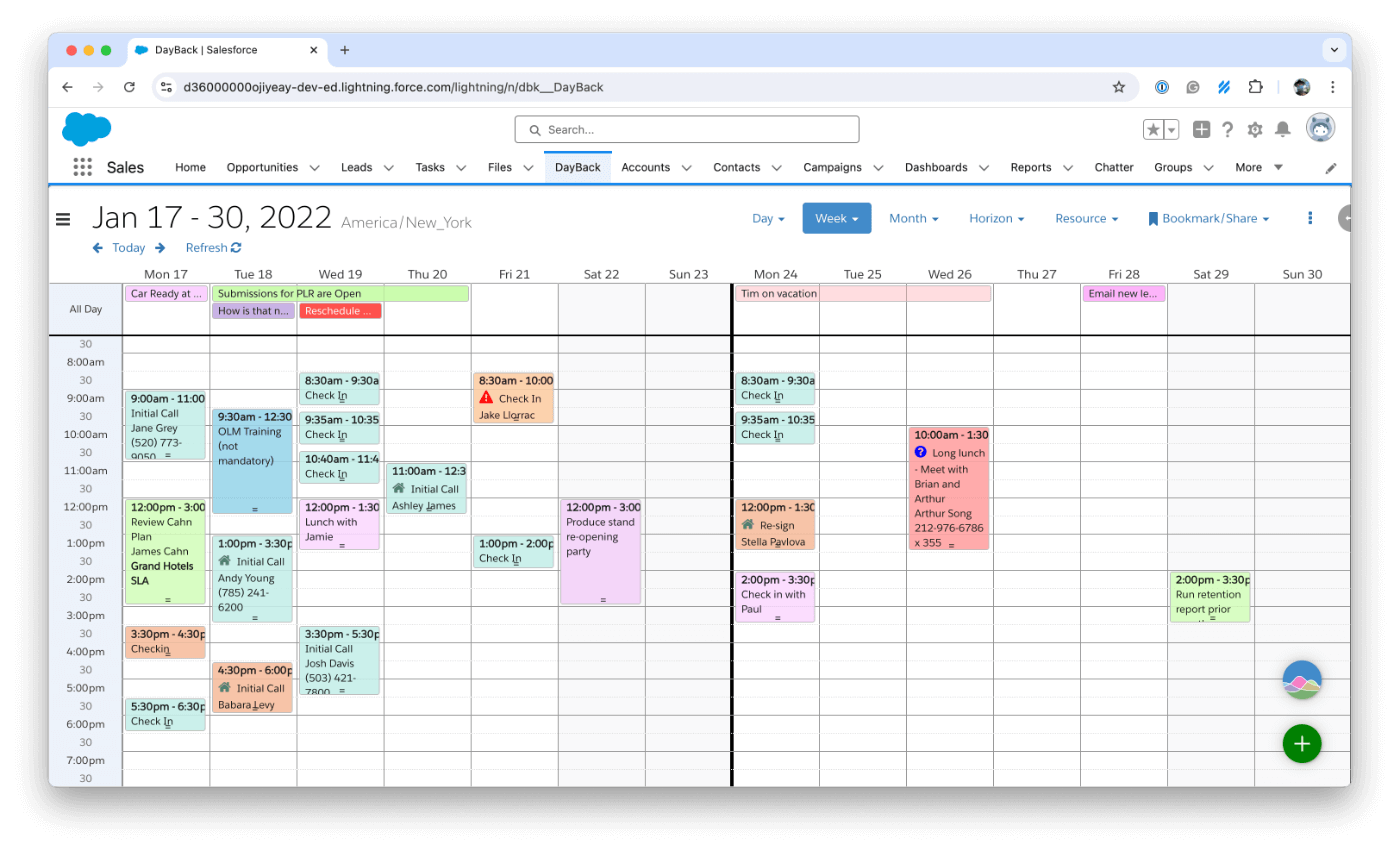 Two Week Schedule View in Salesforce Calendar